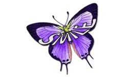SMILE App logo